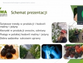 slajd z wykładu dr Agnieszki Orzeł - Trendy w produkcji oraz postęp w polskiej hodowli maliny i jeżyny