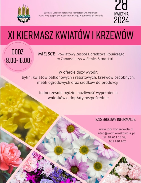 XI Kiermasz Kwiatów i Krzewów - plakat
